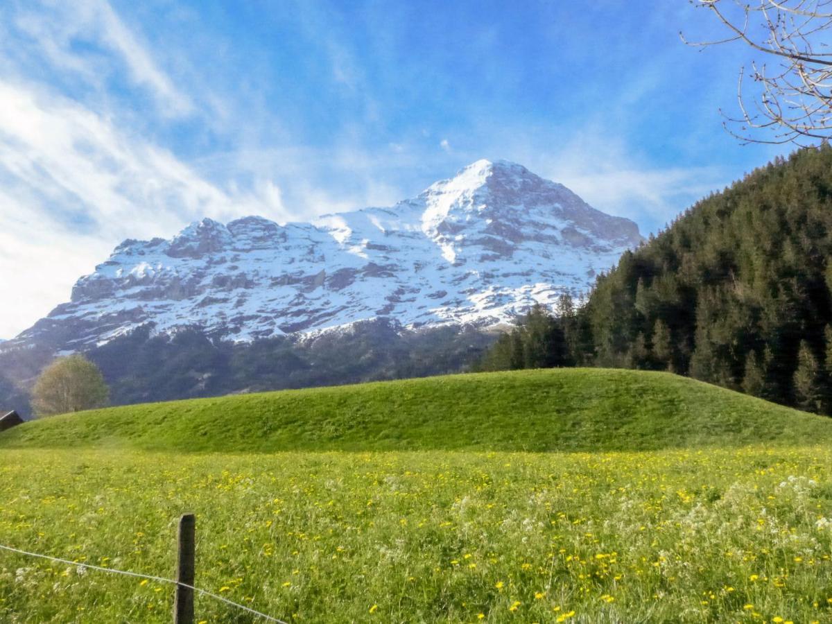 Apartment Chalet Marie Rosa-1 Grindelwald Exterior foto