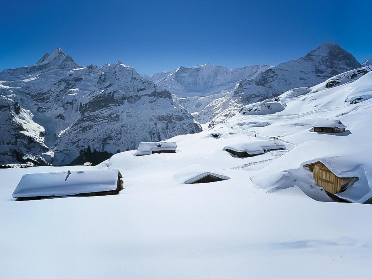 Apartment Chalet Marie Rosa-1 Grindelwald Exterior foto